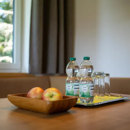 Ramsaueralm 3* Ramsau am Dachstein