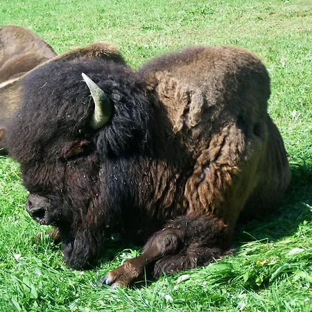 酒店 蓝索拉尔姆酒店 拉姆绍达赫斯坦