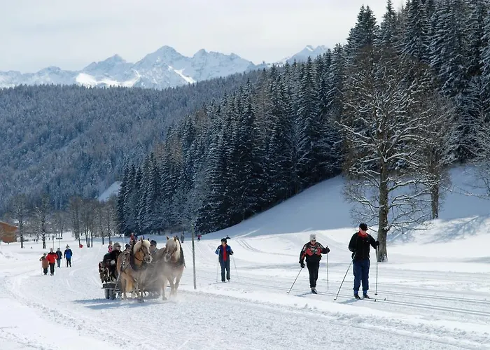 Ramsaueralm Ramsau am Dachstein