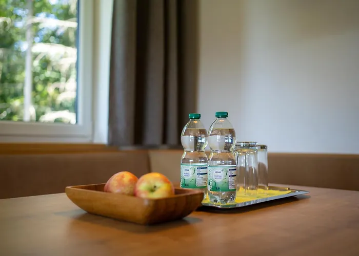 Ramsaueralm 3* רמסאו אם דכשטיין